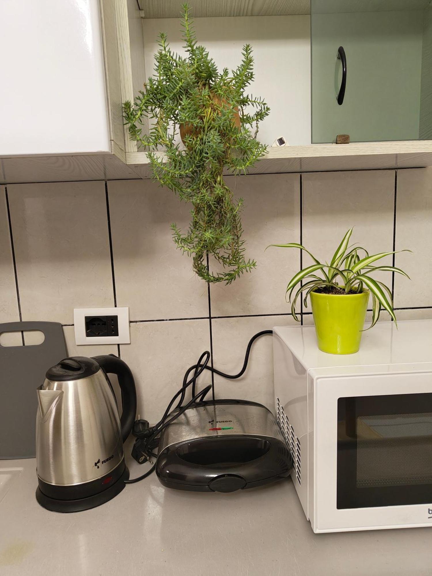 Erli Apartment Shkodër Dış mekan fotoğraf